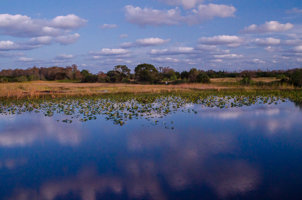 Everglades