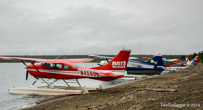 Float planes lined up on the shore of Naklek lake