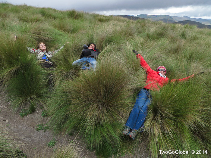 Playing in the pampas grass