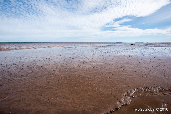 Bay of Fundy at low tide