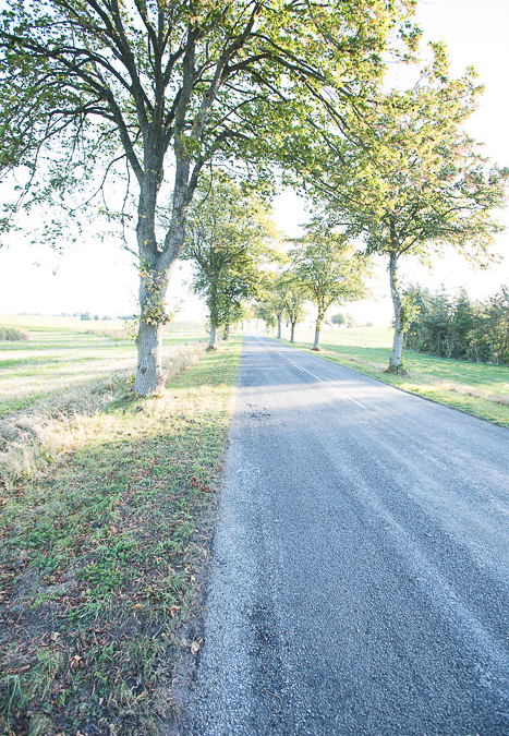Island of Lolland, Denmark