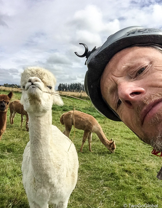 Not quite a Southland local