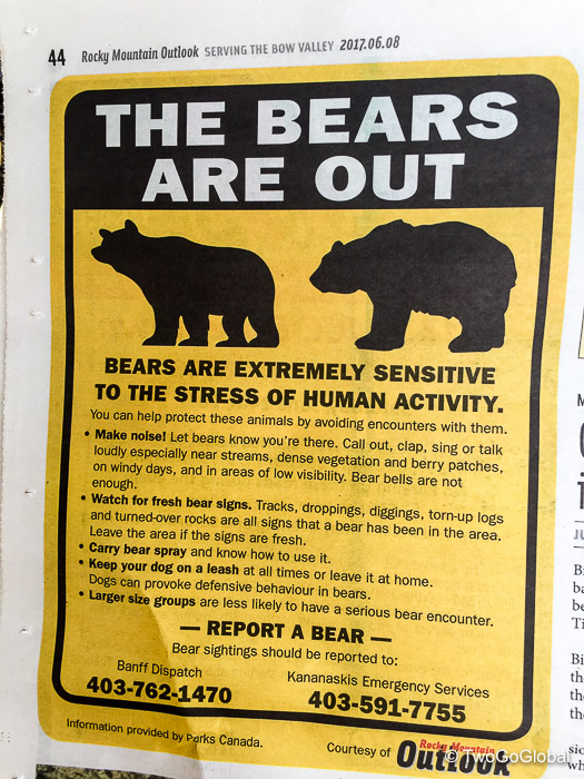 There are bears?