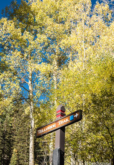 A nice early morning hiking trail