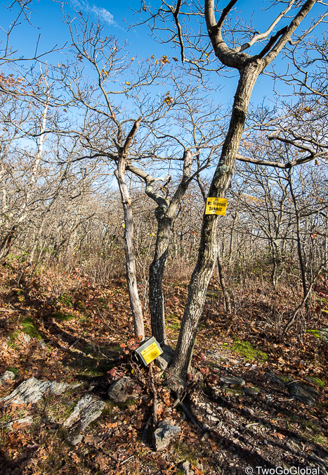Massachusett’s Mt Frissell summit