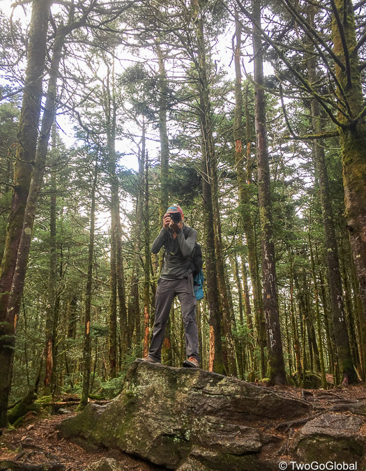 Photographing the photographer