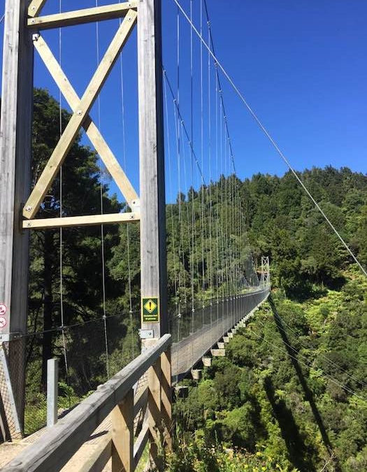 Mangakotukutuku Bridge on the Timber Trail
