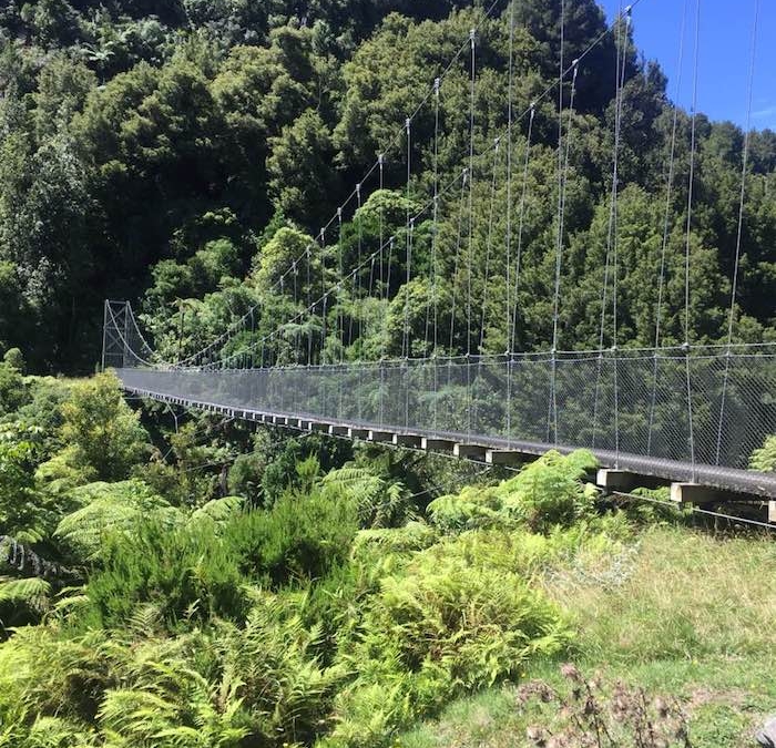 Mangakotukutuku Bridge