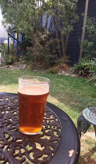 I had to stop for a Gnarly Ryde Dude IPA