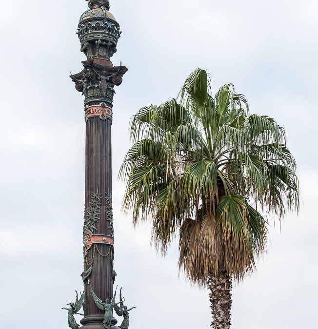 DSC_5565