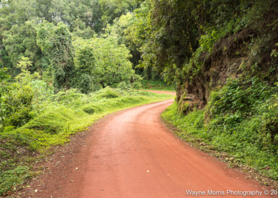 Main road through Bwindi