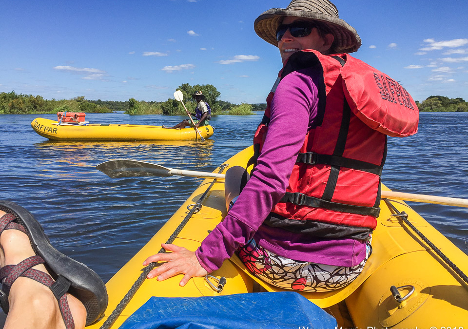 Our Zambezi River safari
