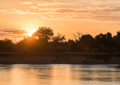 Luangwa River at sunset