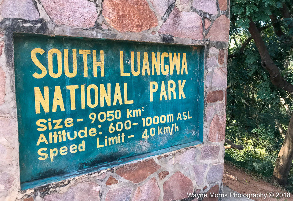 Welcome to South Luangwa National Park