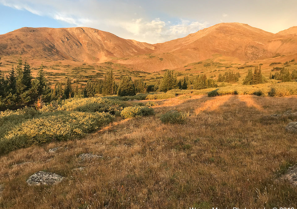 Beautiful sunlight on the route to Mt Massive