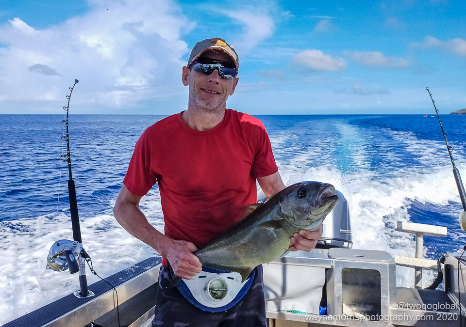 Amberjack