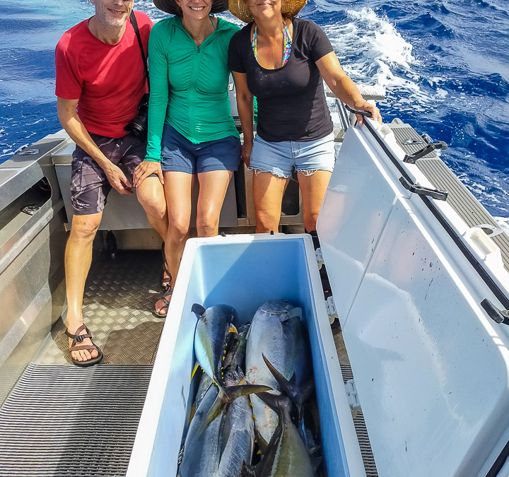 GroupandFish