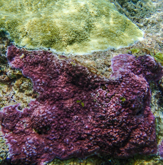 P2050001