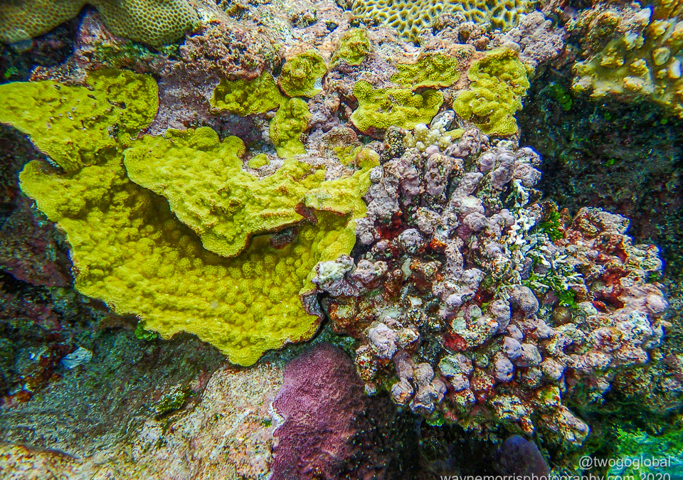 P2060018