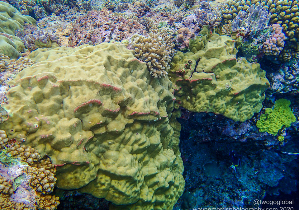 P2070002