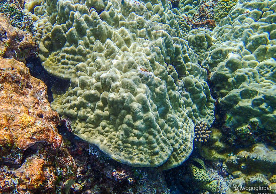 P2070005