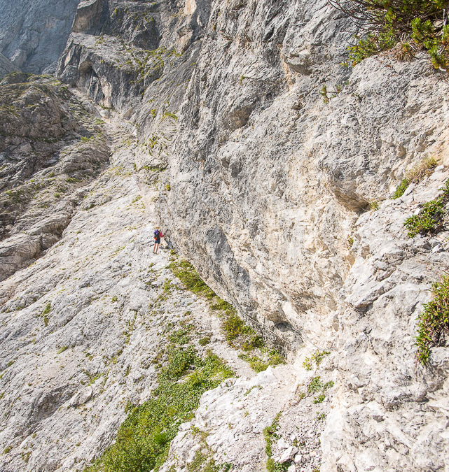 Whoever created trails like this deserves a medal
