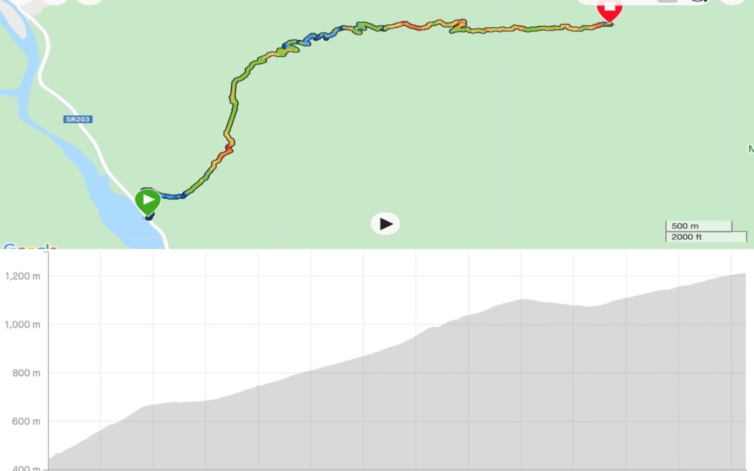 La Pissa to Rifugio Bianchet stats