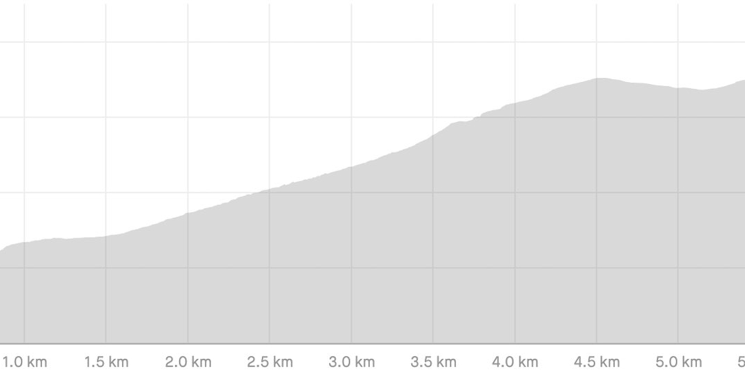 AV1 Day 1 profile