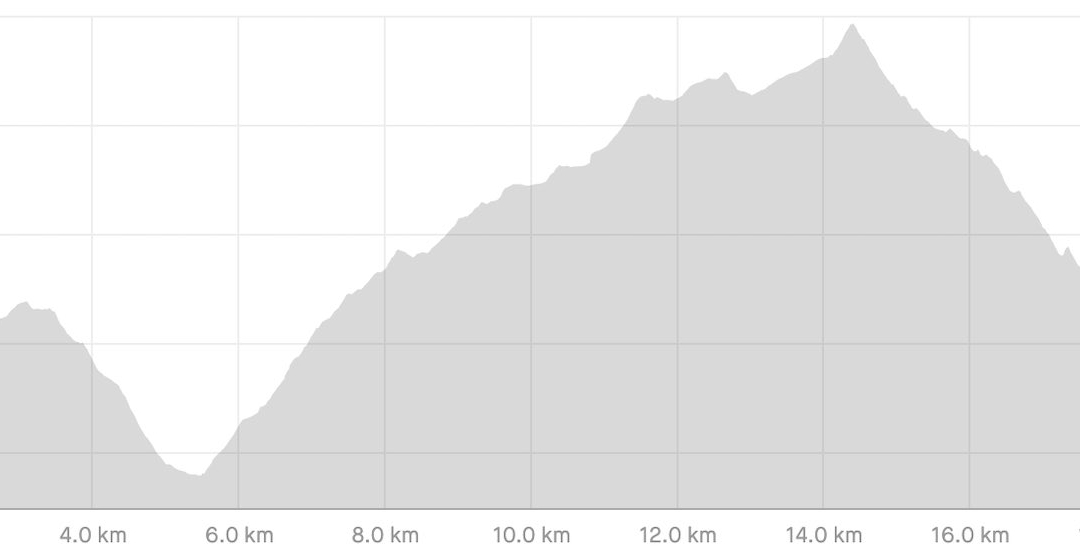 AV1 Day 6 profile
