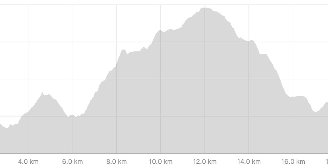 AV2 Day 5 profile