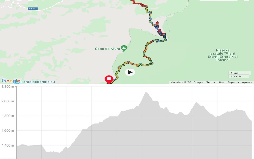 Rifugio Cereda to Rifugio Bruno Boz stats