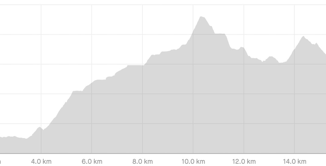 AV2 Day 7 profile