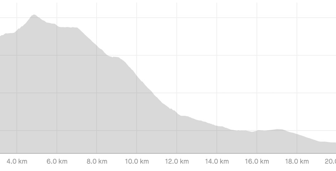 AV2 Day 8 profile