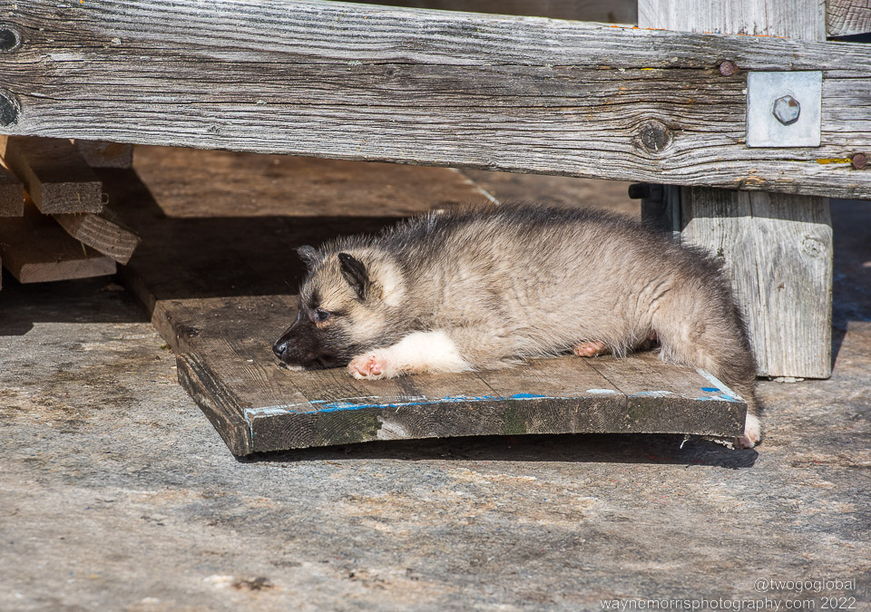 DSC_4008