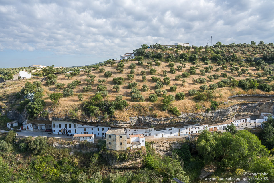 An Olive Oil Roadtrip