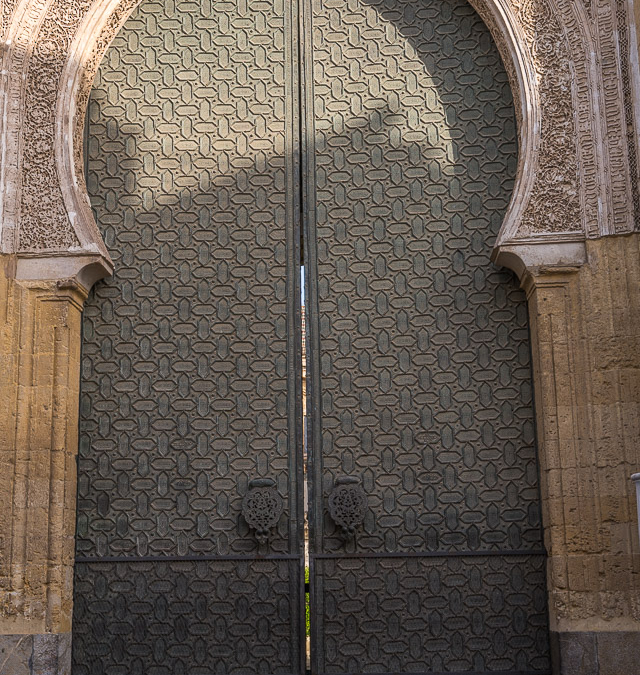 DSC_3651
