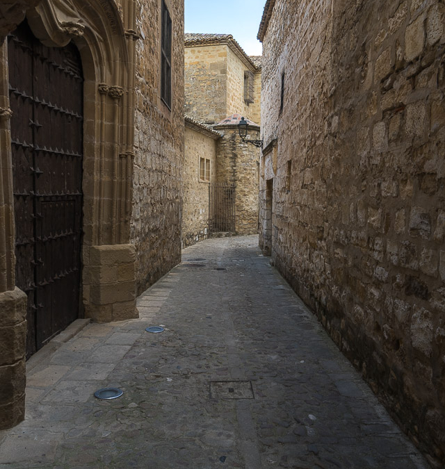 DSC_3847