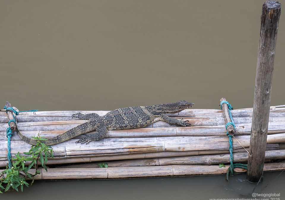 DSC_7437